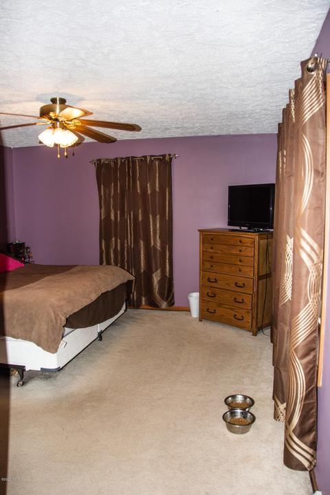 294 Pioneer St, Mendon, MI 49072 photo 11
