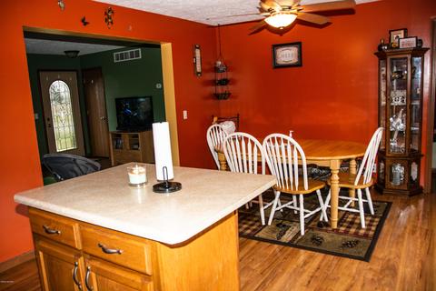 294 Pioneer St, Mendon, MI 49072 photo 8