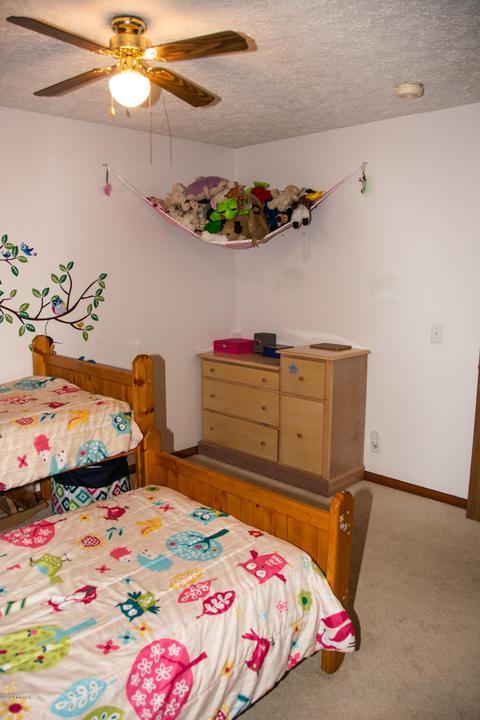 294 Pioneer St, Mendon, MI 49072 photo 23