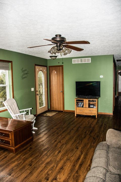 294 Pioneer St, Mendon, MI 49072 photo 6