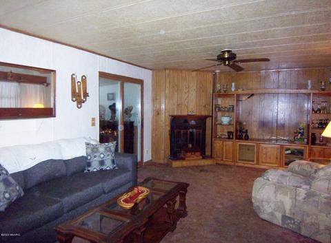 10865 Arrowhead Dr, Evart, MI 49631 photo 4