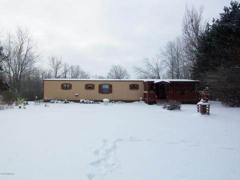 10865 Arrowhead Dr, Evart, MI 49631 photo 15