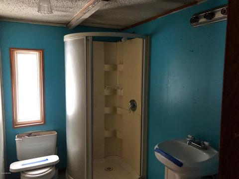 4232 S Otis St, Baldwin, MI 49304 photo 7