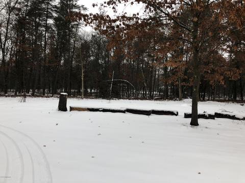 4232 S Otis St, Baldwin, MI 49304 photo 20