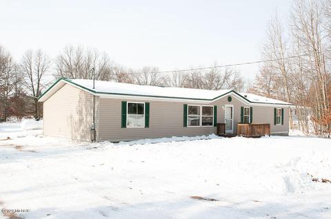 519 Tulip Ave, White Cloud, MI 49349 photo 33
