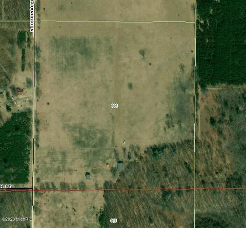 410 N Thornapple Ave, White Cloud, MI 49349 photo 1