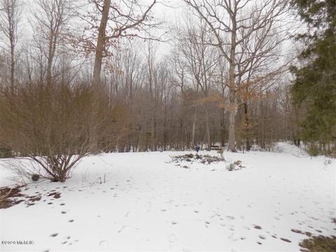 835 53rd St, Pullman, MI 49450 photo 17