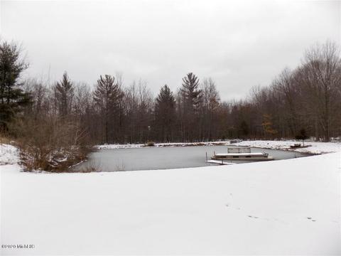 835 53rd St, Pullman, MI 49450 photo 25