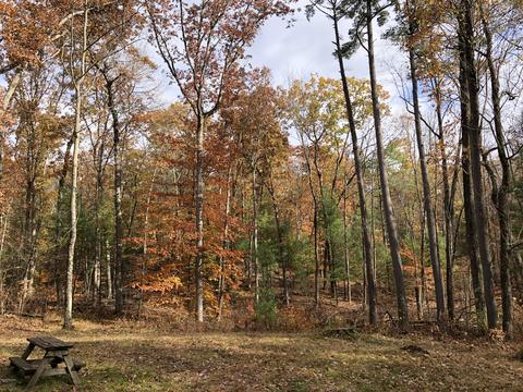 8771 E Wilderness Trl, White Cloud, MI 49349 photo 12