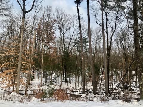 8771 E Wilderness Trl, White Cloud, MI 49349 photo 20