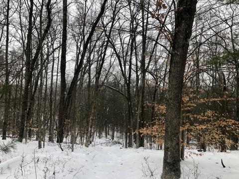8771 E Wilderness Trl, White Cloud, MI 49349 photo 16