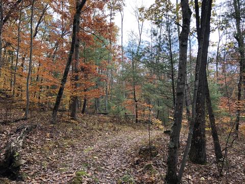 8771 E Wilderness Trl, White Cloud, MI 49349 photo 13