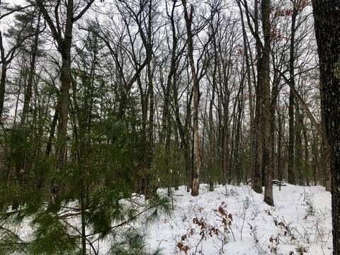 8771 E Wilderness Trl, White Cloud, MI 49349 photo 19