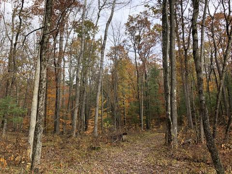 8771 E Wilderness Trl, White Cloud, MI 49349 photo 15