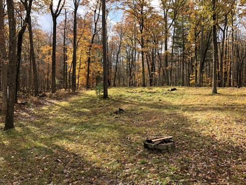 8771 E Wilderness Trl, White Cloud, MI 49349 photo 11