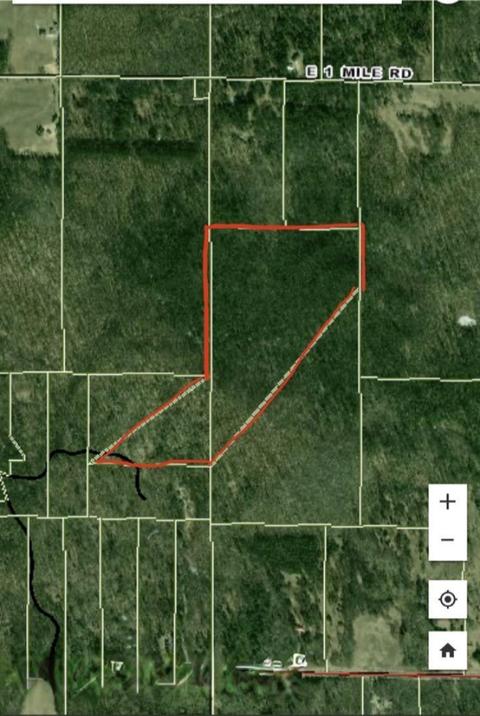 8771 E Wilderness Trl, White Cloud, MI 49349 photo 23