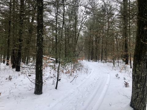 8771 E Wilderness Trl, White Cloud, MI 49349 photo 18