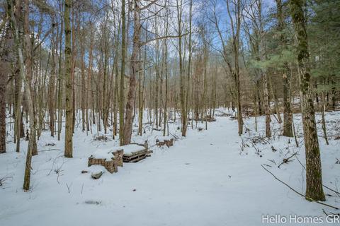 282 Barron Dr NE, Ada, MI 49301 photo 43