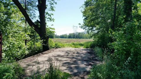 0 Holden Rd, Sawyer, MI 49125