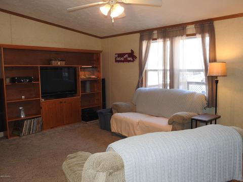 7939 W Fox Rd, Mears, MI 49436 photo 9