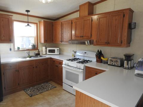 7939 W Fox Rd, Mears, MI 49436 photo 2