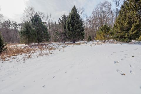 16022 M-89, Augusta, MI 49012 photo 36