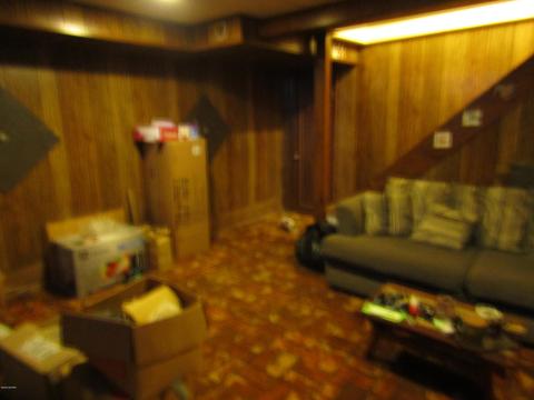 444 E Maple St, Fremont, MI 49412 photo 23