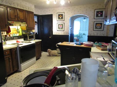 444 E Maple St, Fremont, MI 49412 photo 12