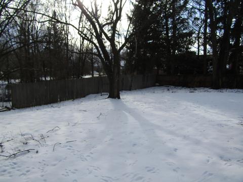 444 E Maple St, Fremont, MI 49412 photo 31