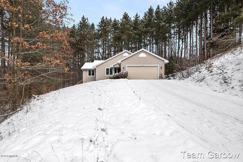 6875 4 Mile Rd NE, Ada, MI 49301 photo 2