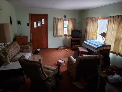 4469 N Evergreen Dr, White Cloud, MI 49349 photo 11