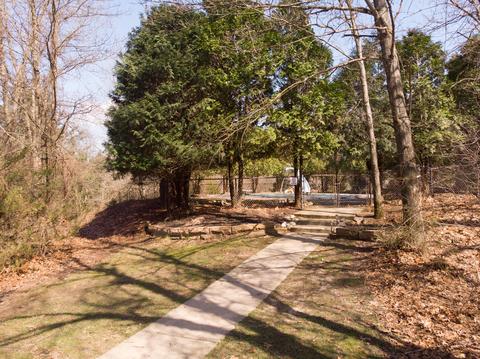 8990 Bailey Dr NE, Ada, MI 49301 photo 39