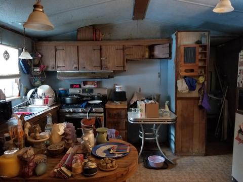 3220 S James Rd, Baldwin, MI 49304 photo 2