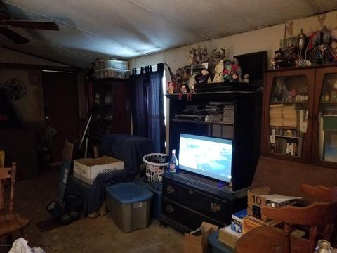 3220 S James Rd, Baldwin, MI 49304 photo 3