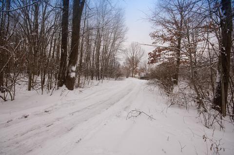 1391 186th Ave, Hesperia, MI 49421 photo 3