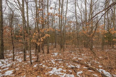 7456 S 3rd St, Mattawan, MI 49071 photo 40