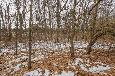 7456 S 3rd St, Mattawan, MI 49071 photo 41