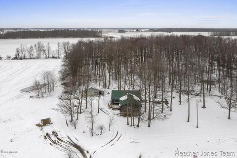 4350 Noddins Rd, Belding, MI 48809 photo 19