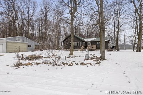 4350 Noddins Rd, Belding, MI 48809 photo 1