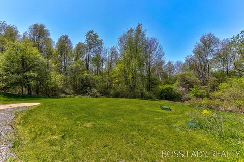 7825 Lessiter Rd, Belding, MI 48809 photo 49