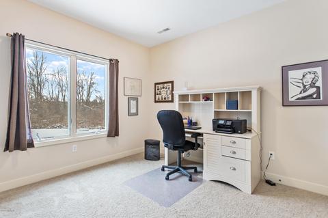 7825 Lessiter Rd, Belding, MI 48809 photo 36