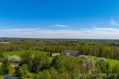 7825 Lessiter Rd, Belding, MI 48809 photo 65