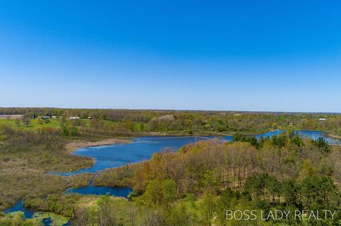 7825 Lessiter Rd, Belding, MI 48809 photo 67
