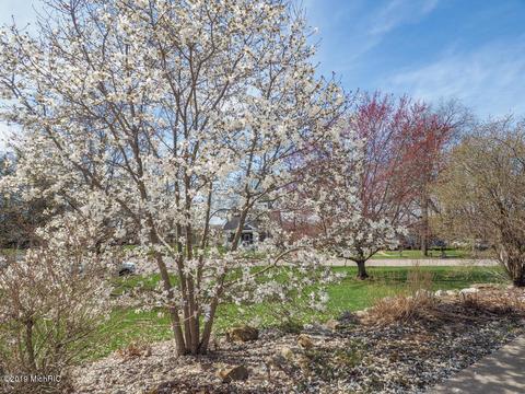 230 2nd Ave, Plainwell, MI 49080 photo 57