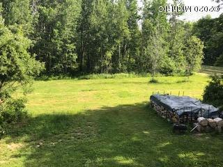 3179 E 128th St, Grant, MI 49327 photo 24