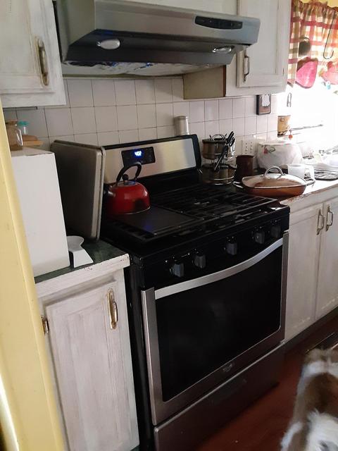 302 S Robinson St, Lyons, MI 48851 photo 5