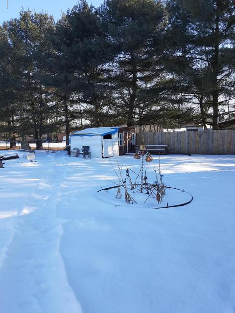 302 S Robinson St, Lyons, MI 48851 photo 25