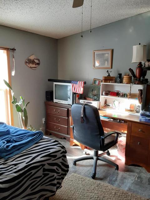 302 S Robinson St, Lyons, MI 48851 photo 15
