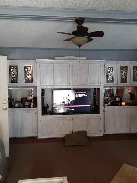 302 S Robinson St, Lyons, MI 48851 photo 10