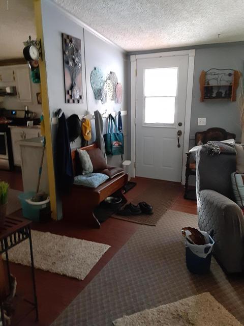 302 S Robinson St, Lyons, MI 48851 photo 20